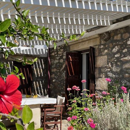 Villa La Familia Maison Traditionnelle Πλακιάς Εξωτερικό φωτογραφία