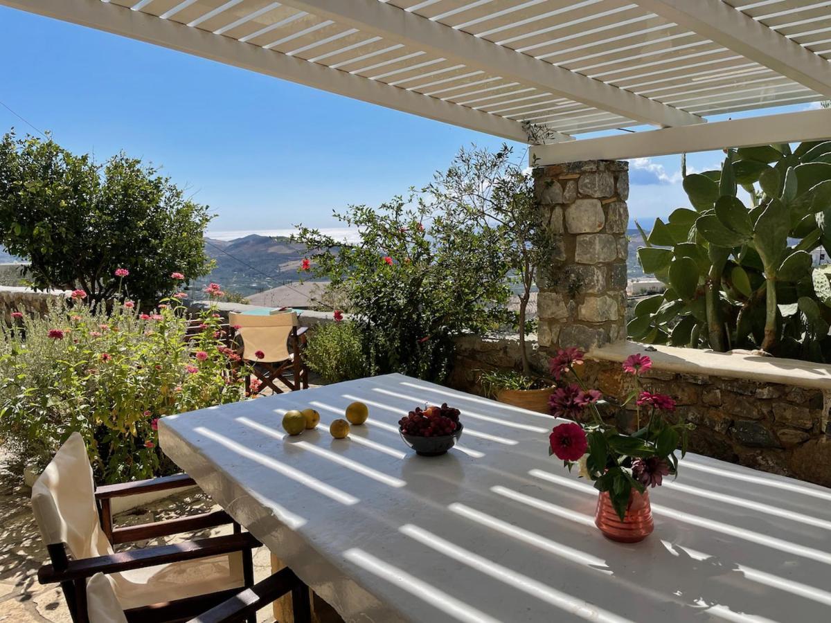 Villa La Familia Maison Traditionnelle Πλακιάς Εξωτερικό φωτογραφία